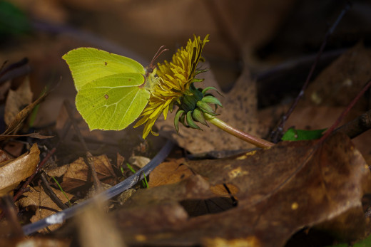 1759703 (a): :2048x1365